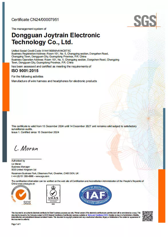 ISO9001-2015 EN final.jpg